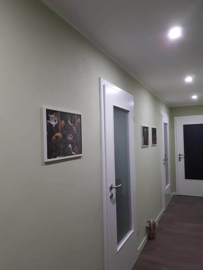 Ferienwohnung Rotbuche Tannenberg المظهر الخارجي الصورة