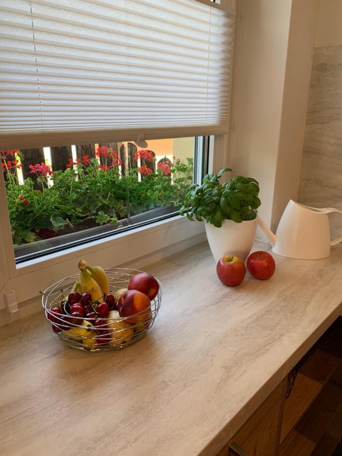Ferienwohnung Rotbuche Tannenberg المظهر الخارجي الصورة